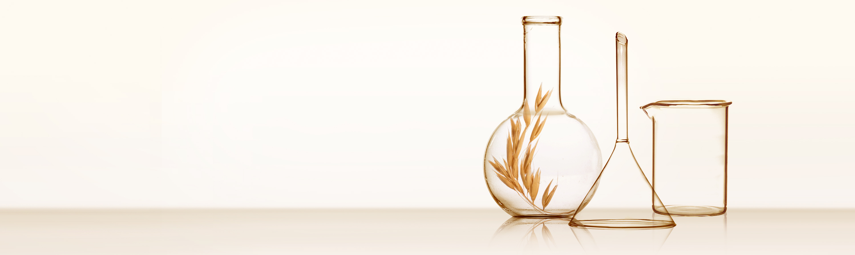 AVEENO_Informationsmaterialien_Header