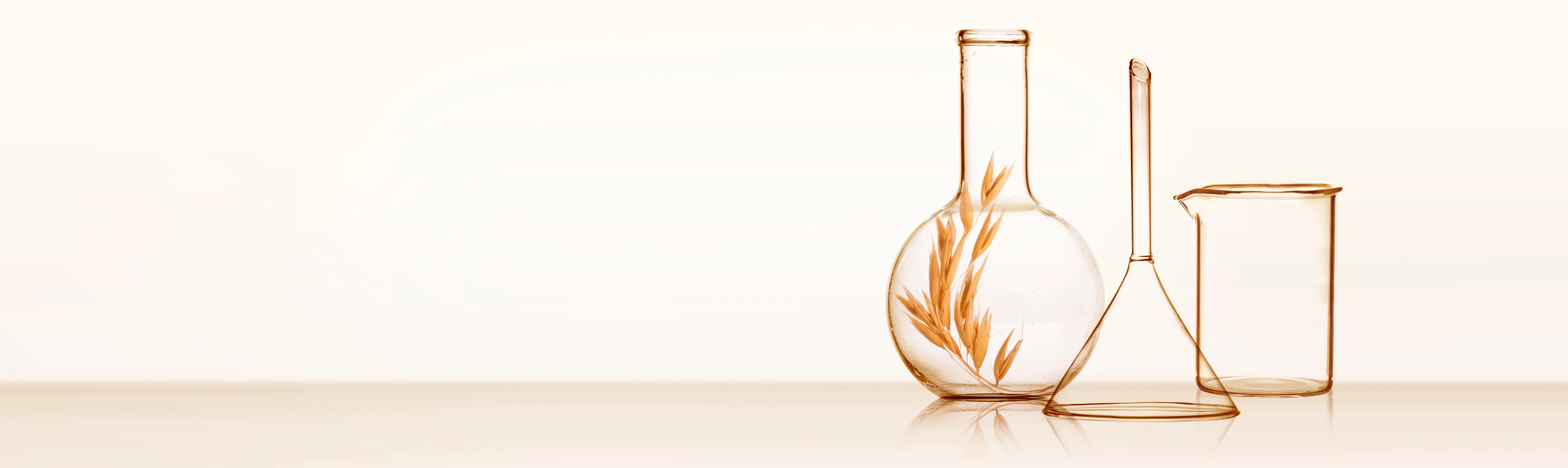 AVEENO_Informationsmaterialien_Header
