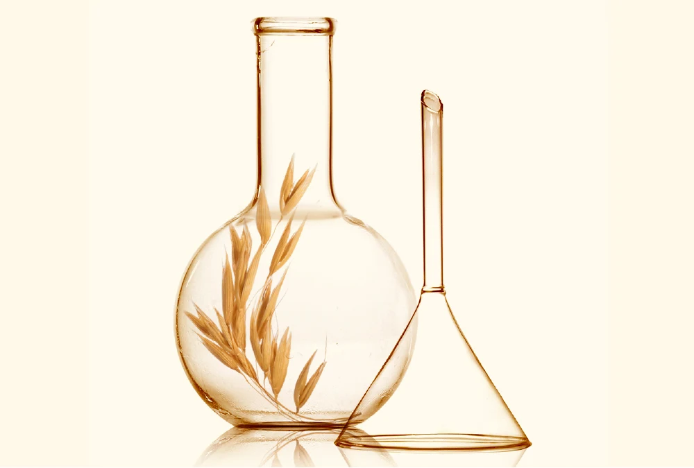 AVN image 2 - 1000x675px.jpg