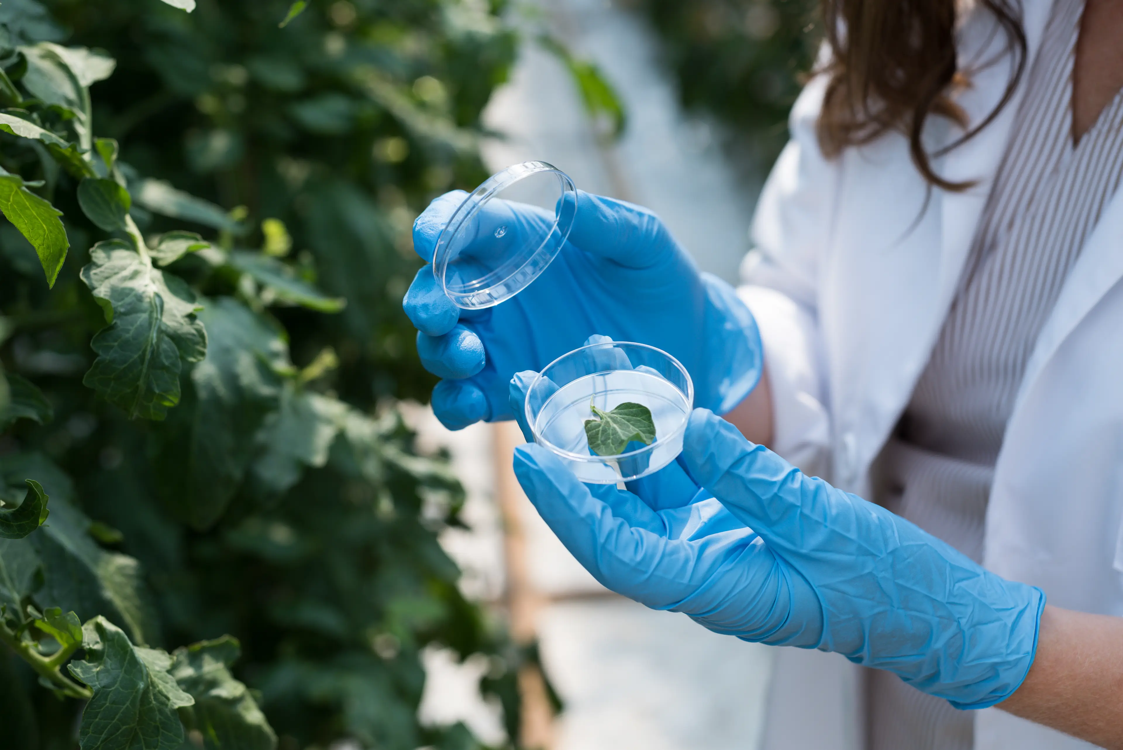 Alles rund um unsere Produkte