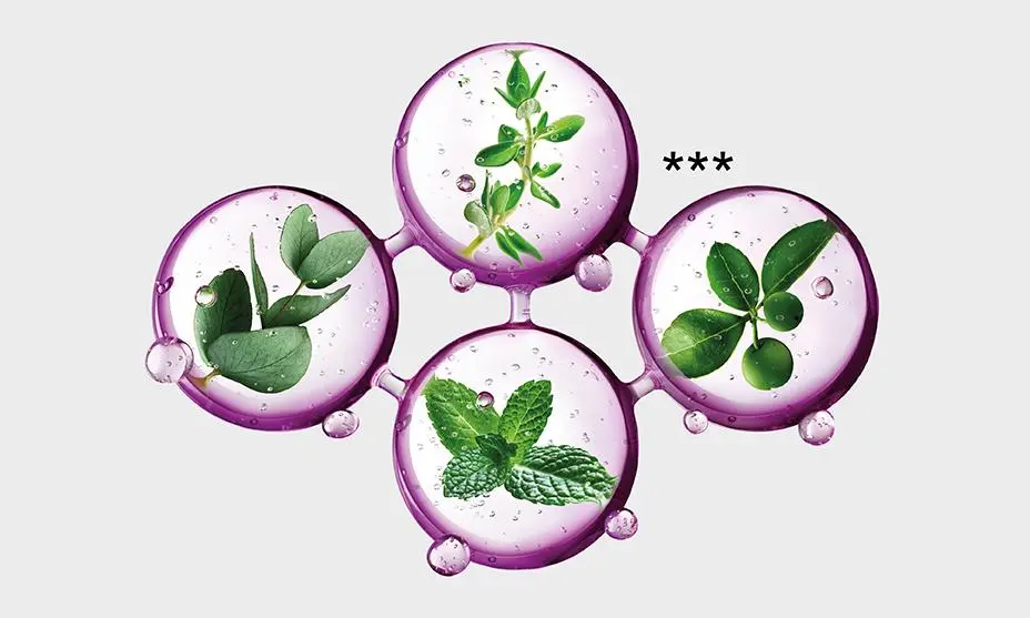 LISTERINE DE KenvuePro IDB Herbs3Stars