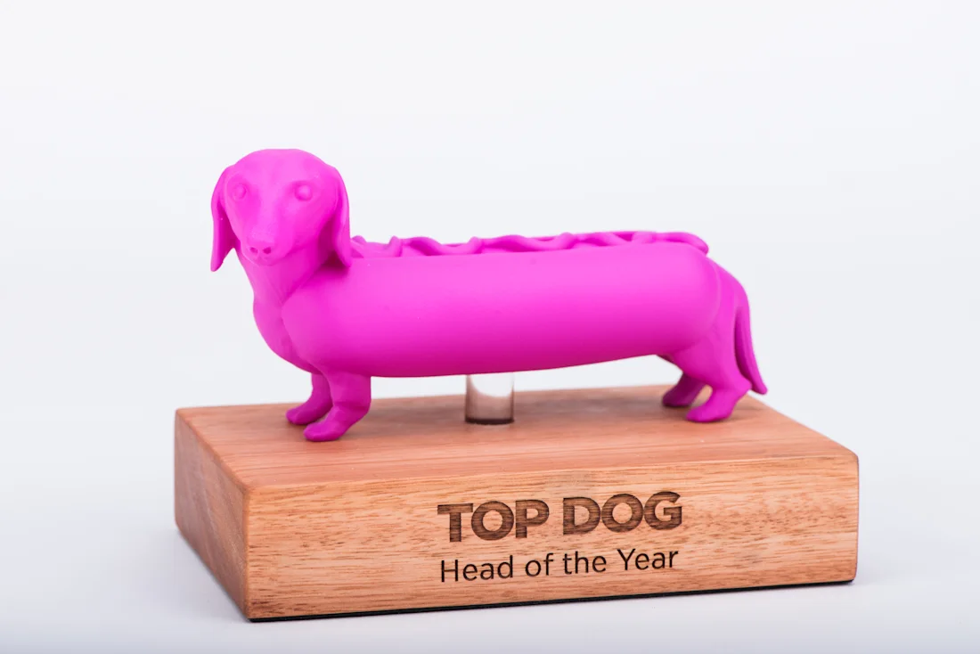 A pink dachshund Top Dog award on an engraved wood base