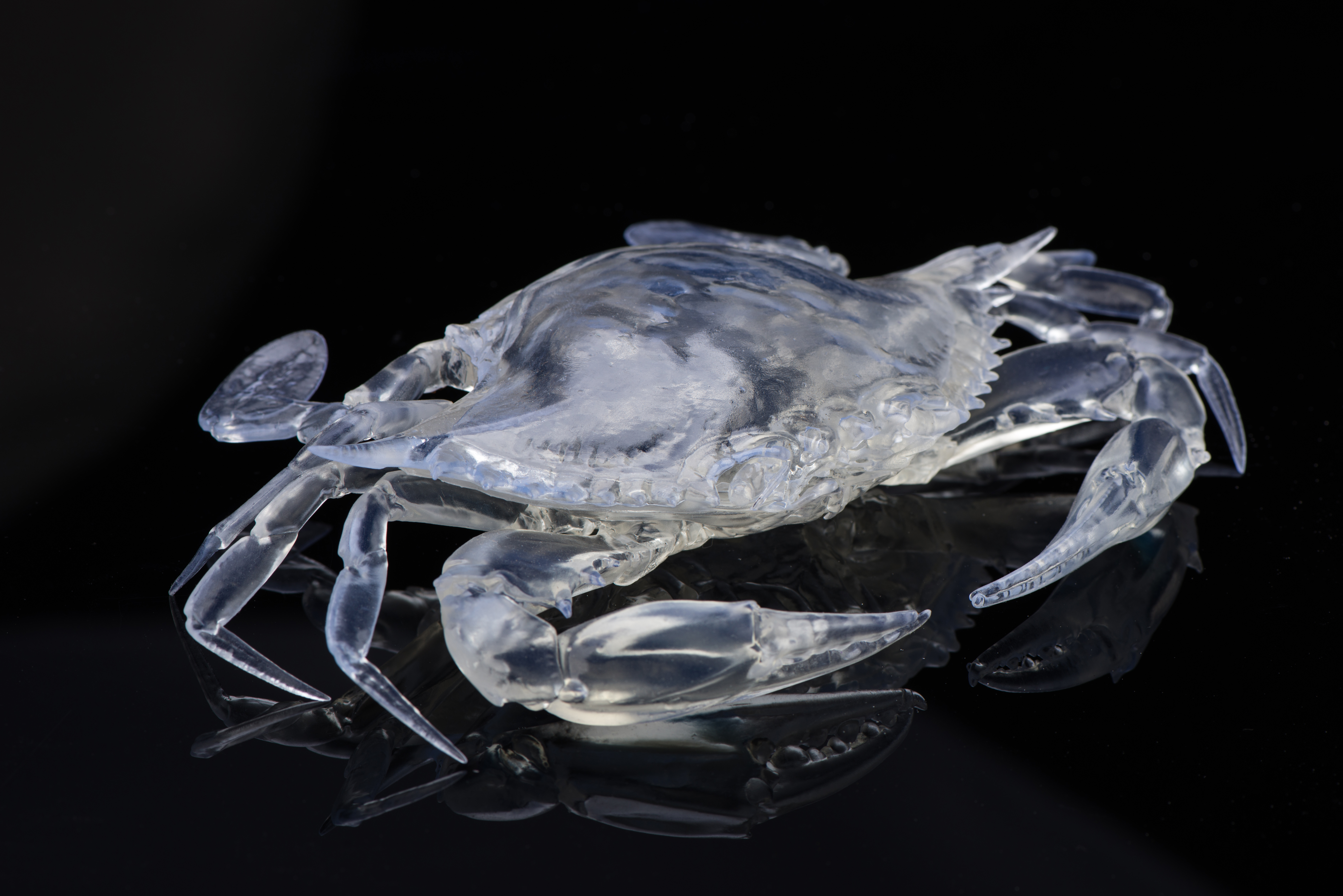 Crystal Crab