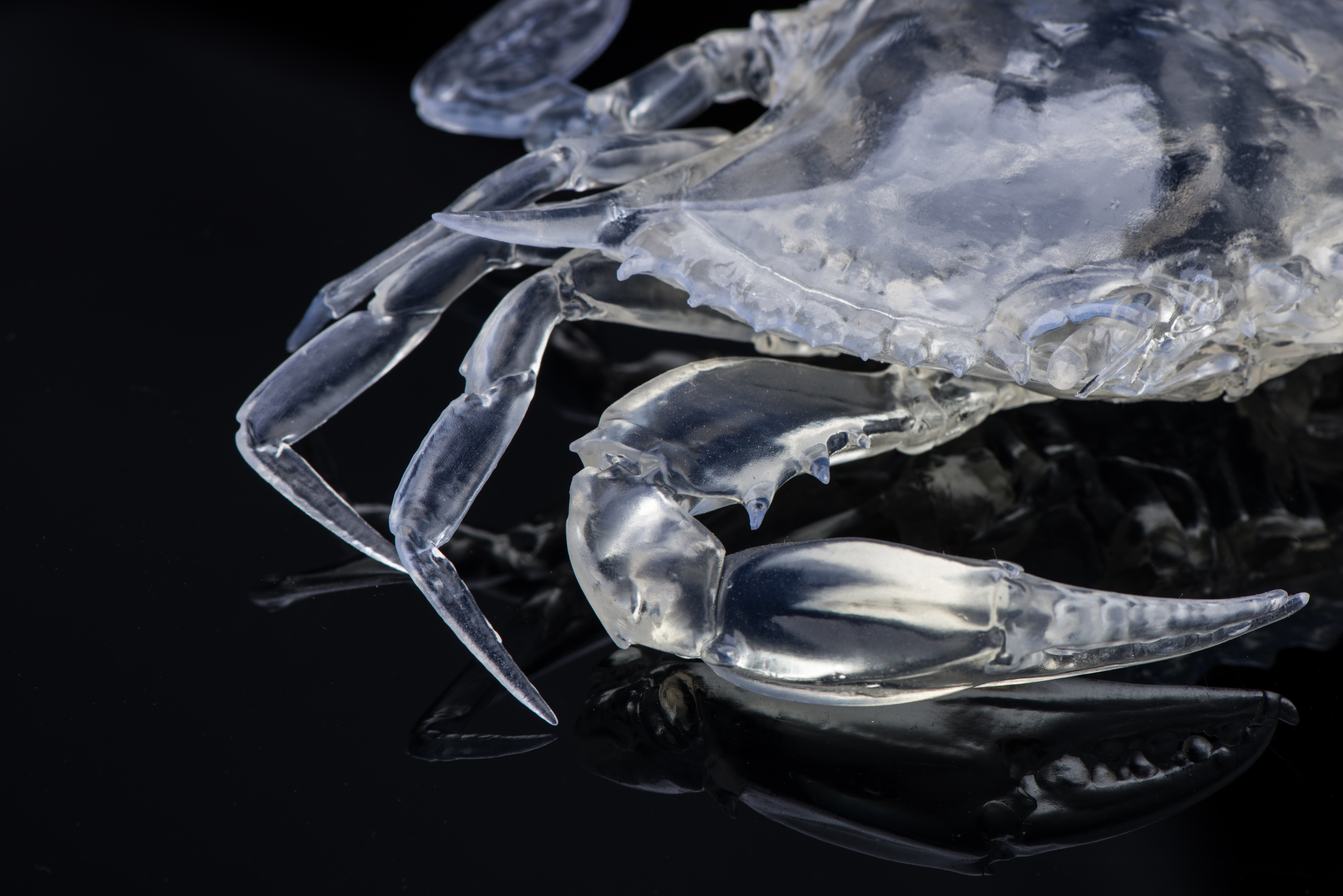 Crystal Crab