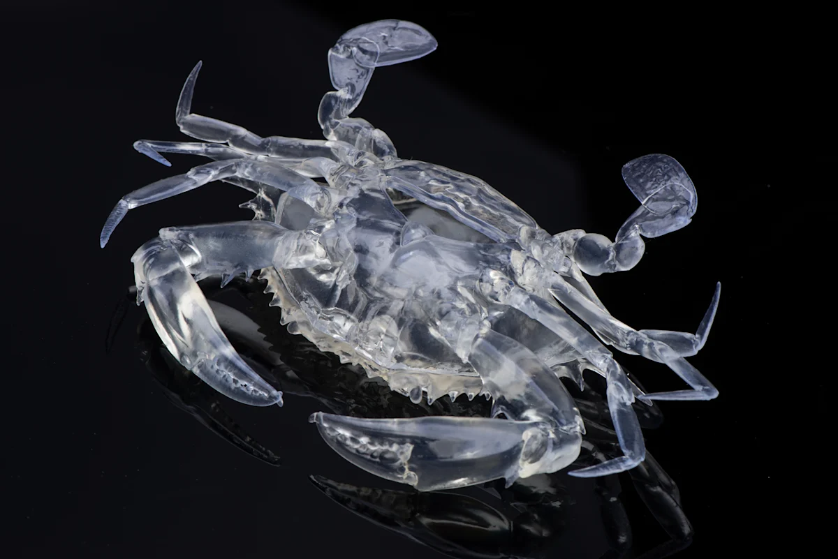 A transparent crystal crab model produced by PrintAWorld