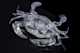 Crystal Crab
