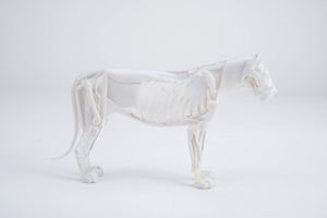 3d printed westworld character