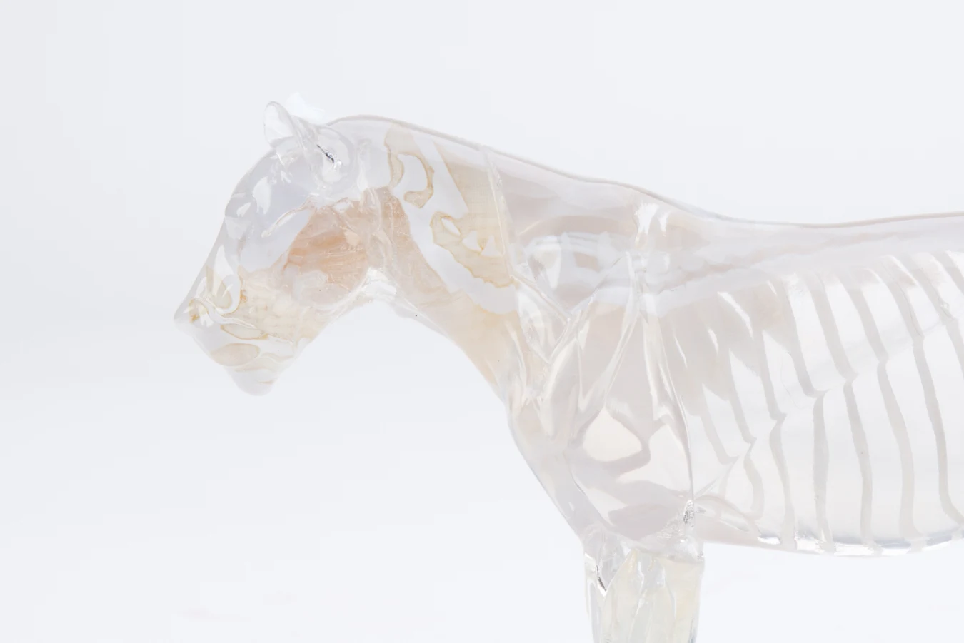 A detailed 3D printed jaguar sculpture produced by PrintAWorld