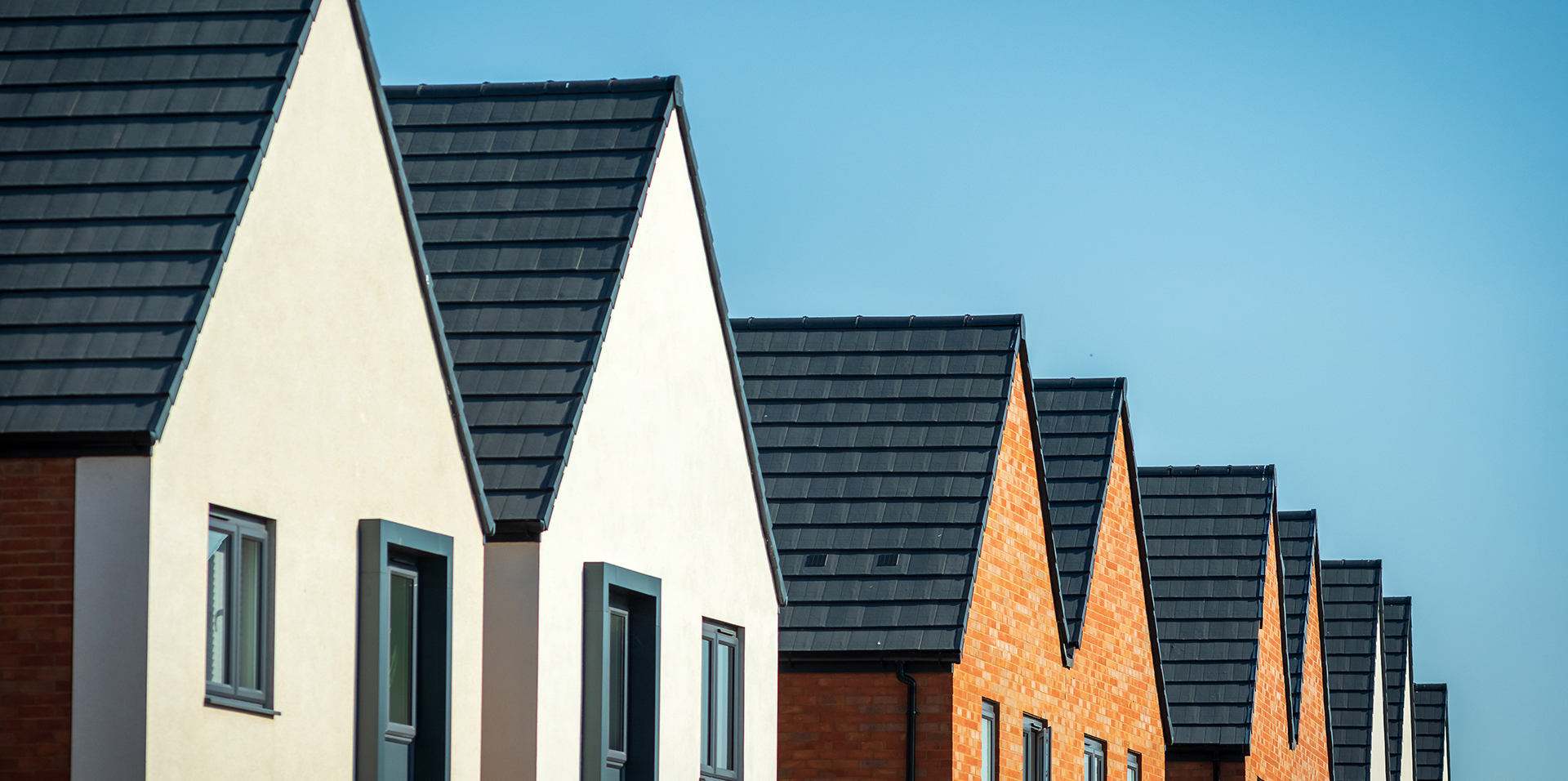 Property Litigation Law