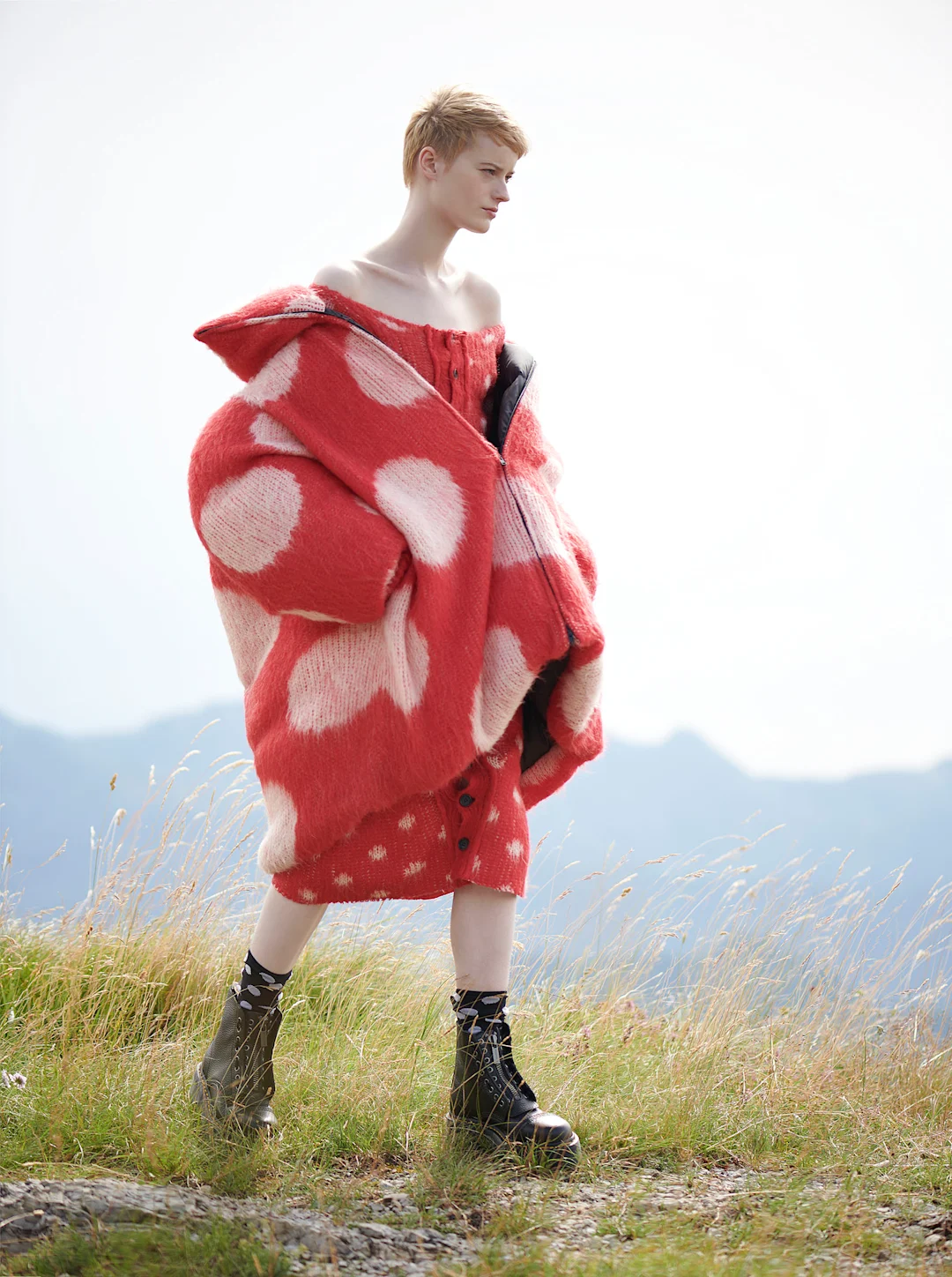 AMICA – image 1