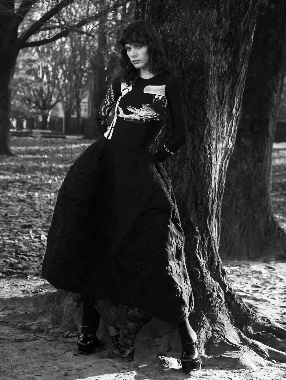 MOJEH – image 3