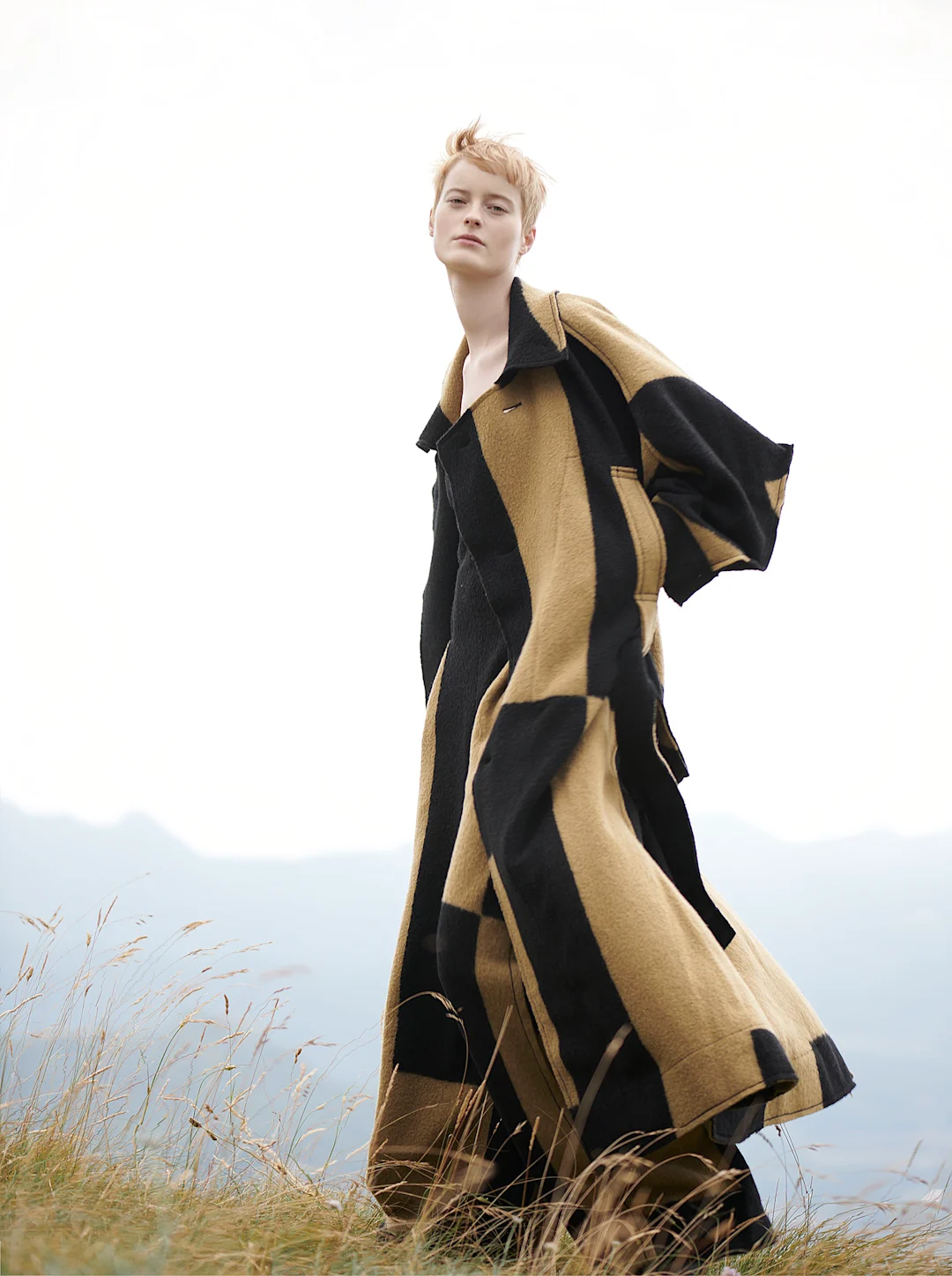 AMICA – image 3