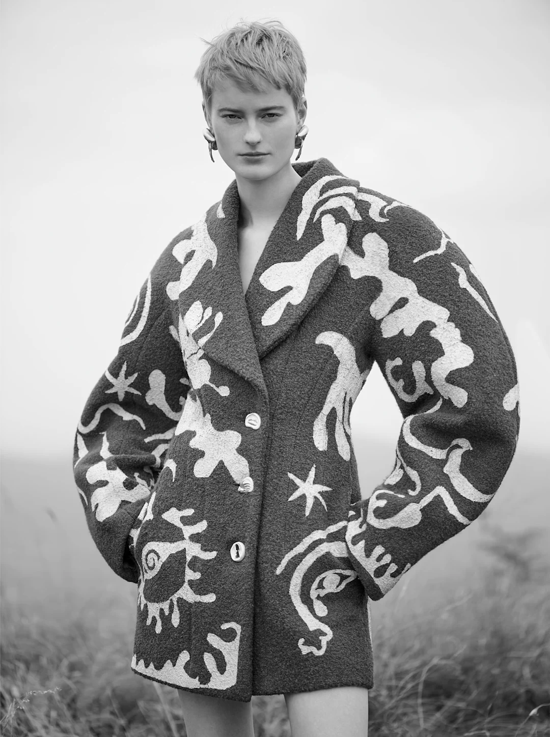 AMICA – image 2