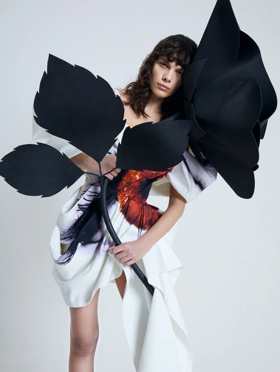 MOJEH – image 4