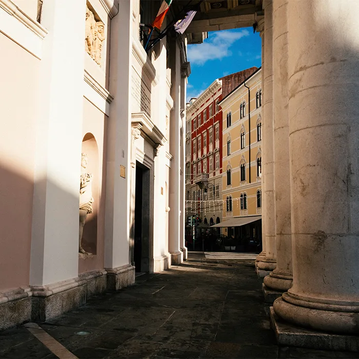 pdp+ Alma Kachel 1 / Bild1