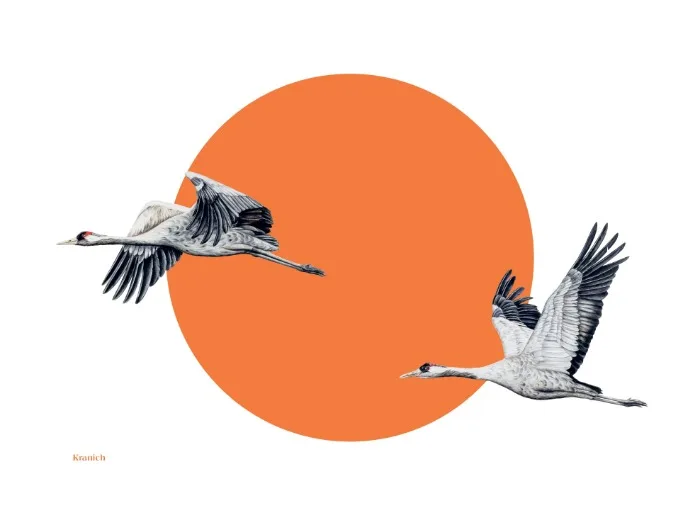 Eulberg / Prachtliebe / Kranich