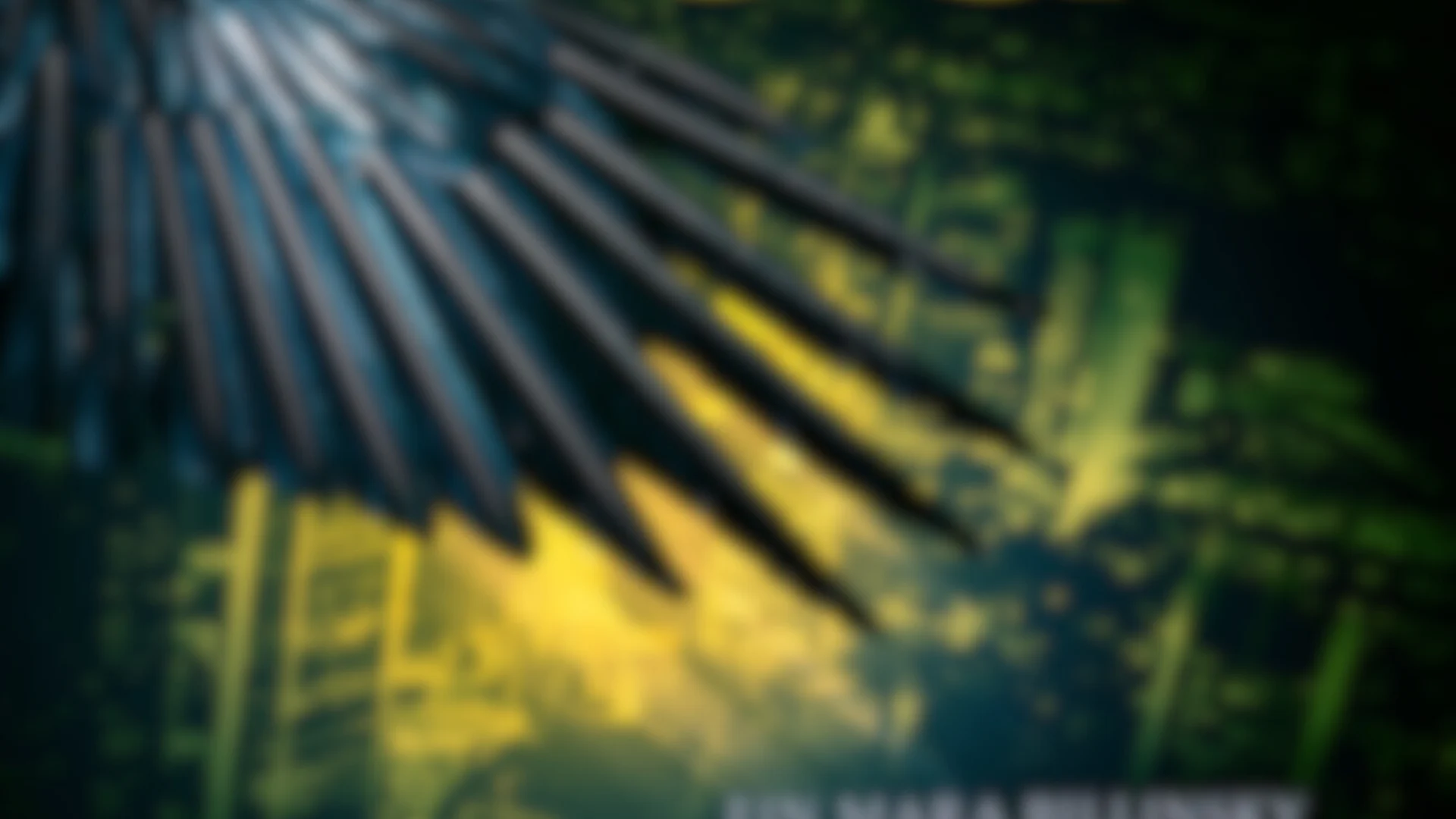 Leo Born Dunkler Sog