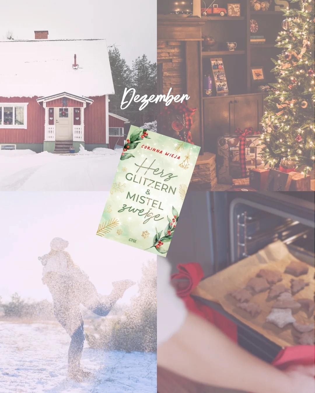 ONE | Dein Geburtsmonat bestimmt deinen Next Read | Romance Edition - Dezember