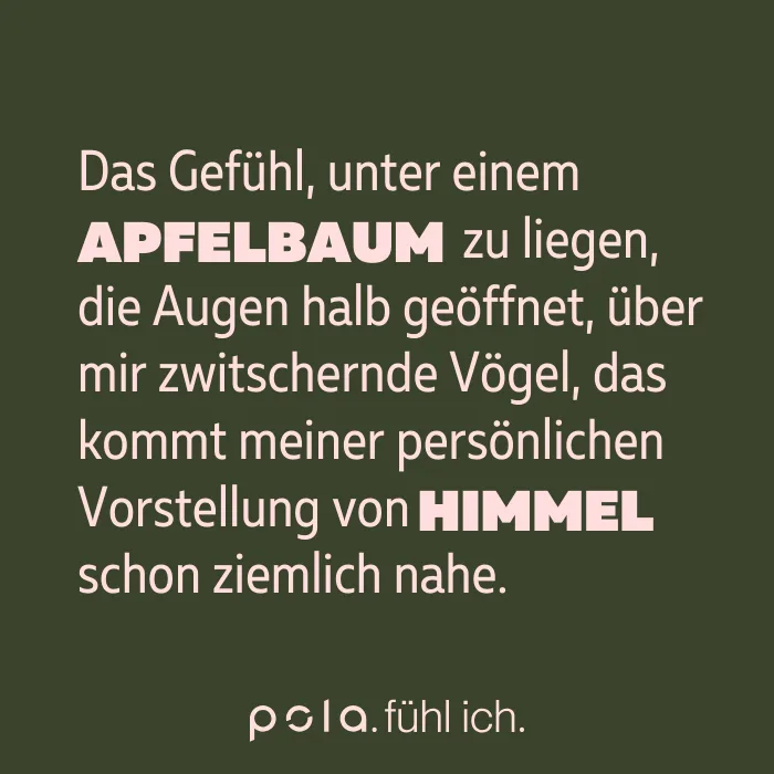 Scheidemantel Quote 2 700x700