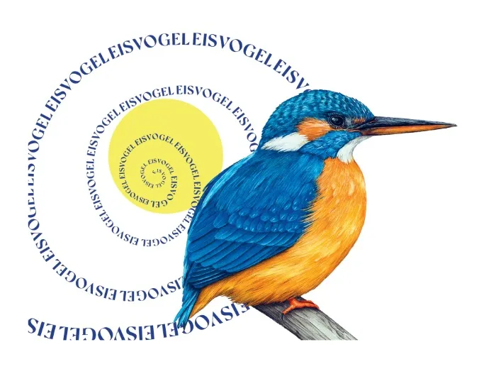 Eulberg / Prachtliebe / Eisvogel