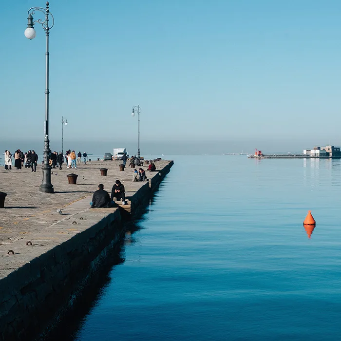 pdp+ Alma Kachel 4 / Bild4