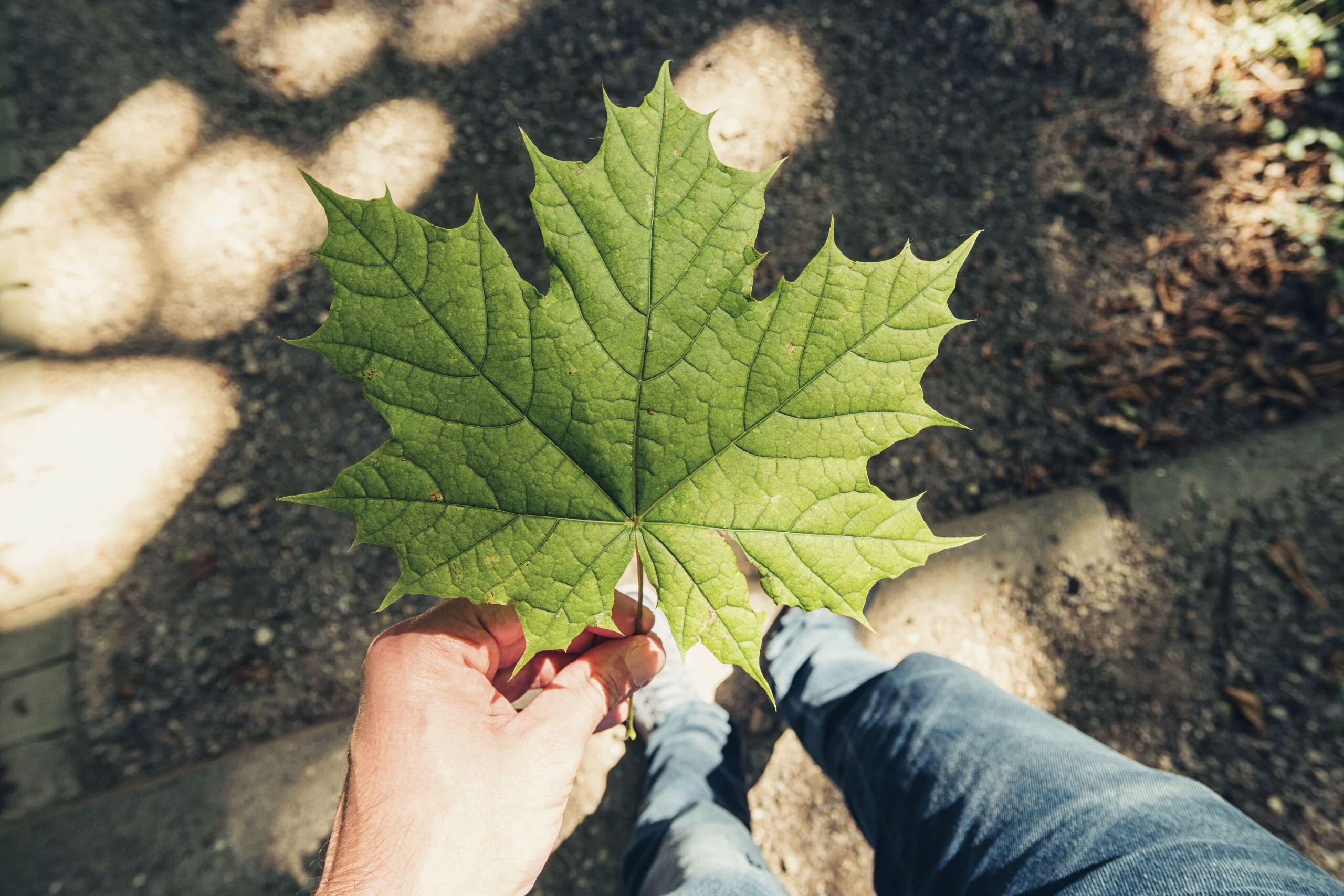 Handlungsperspektive Umwelt