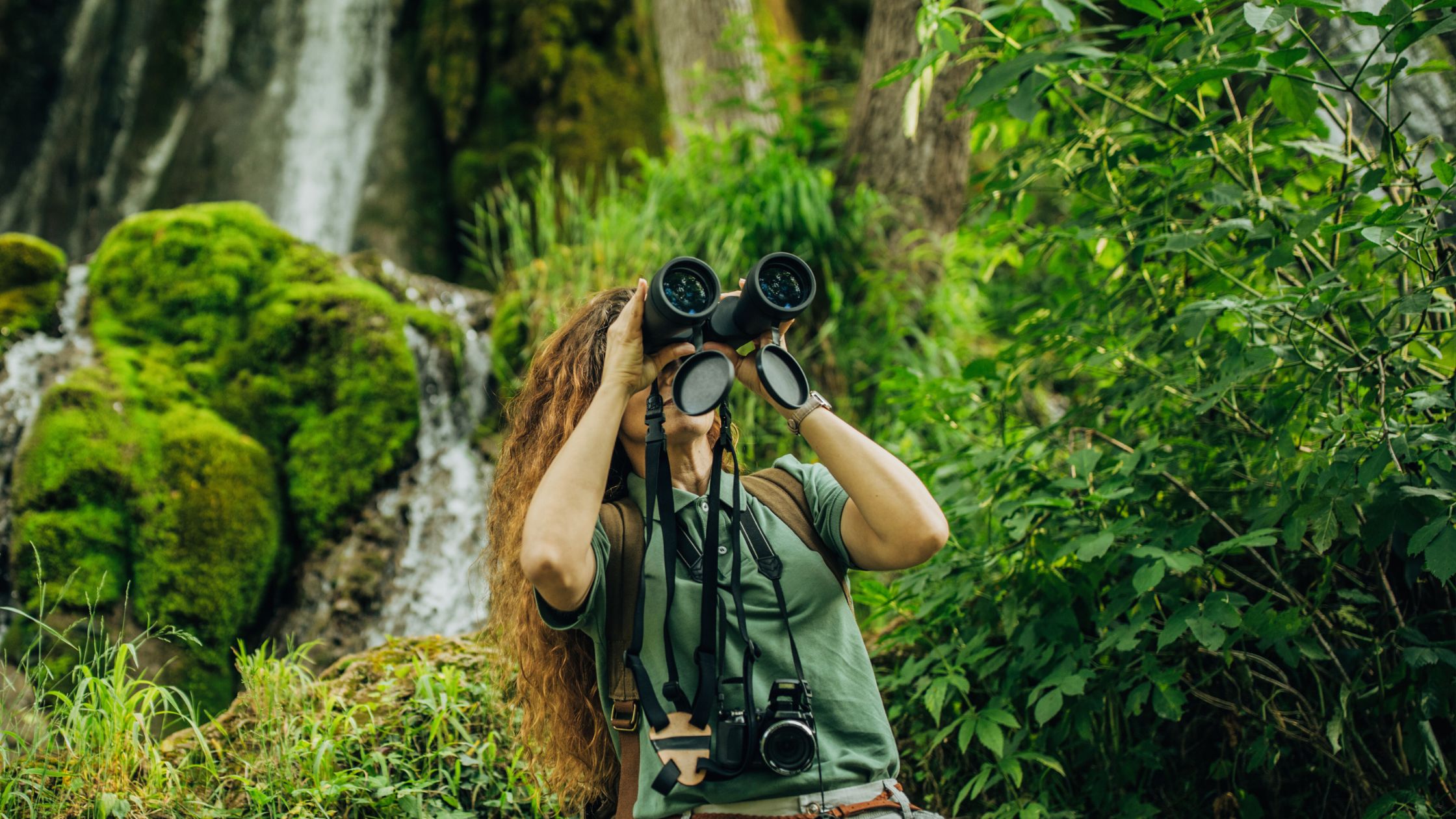 capa do artigo Quais profissionais podem atuar na consultoria ambiental?