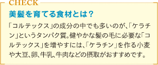 美髪を育てる食材にはケラチンを作る小麦や大豆、卵、牛乳、牛肉がおすすめというミニコラム