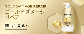 Pantene Extra Damage Repair Series , エクストラダメージリペア