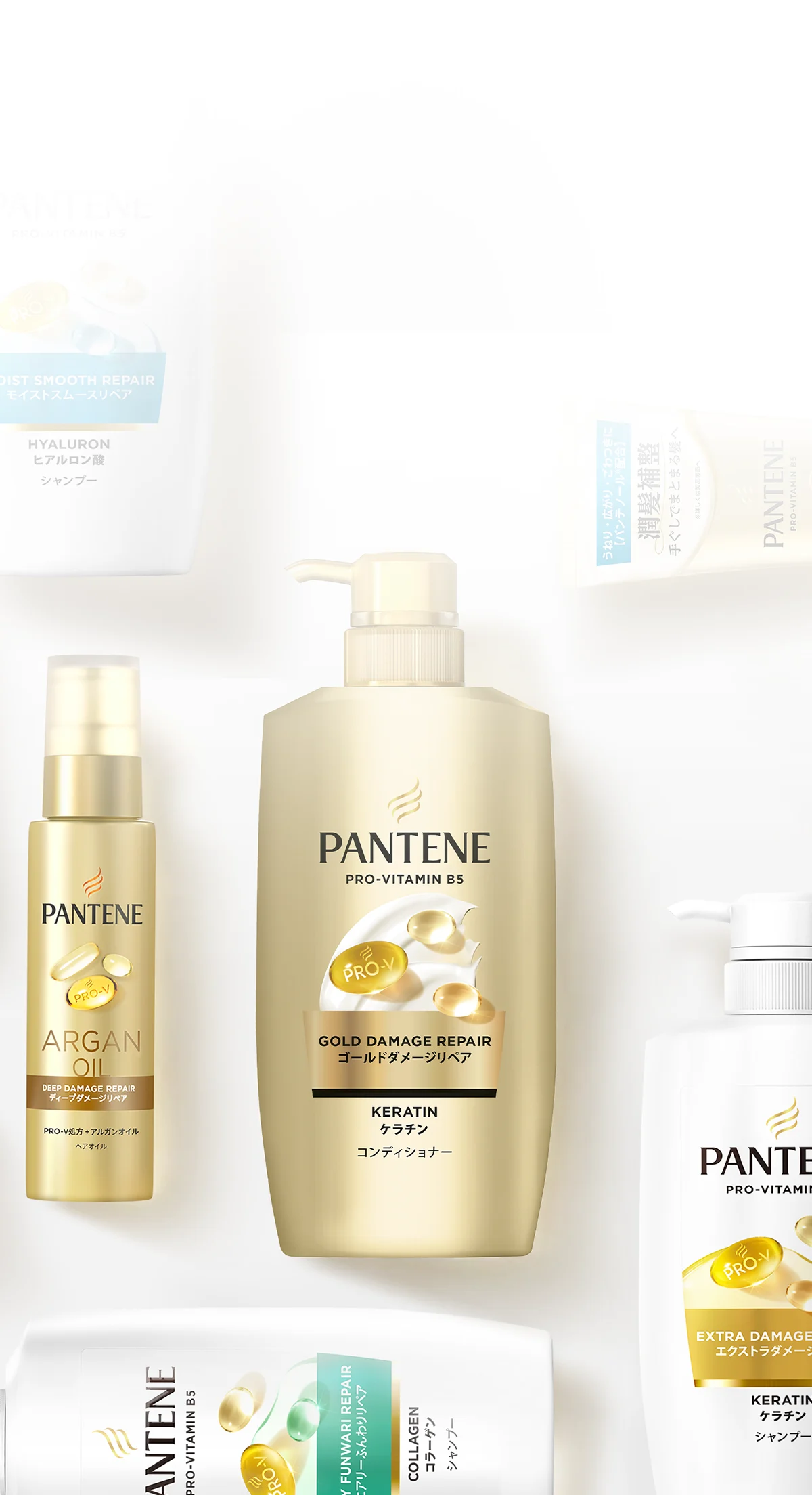 パンテーン ベーシックライン (PANTENE Basic line) 製品一覧