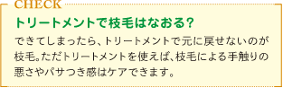 枝毛はできてしまったら元に戻せないけれどトリートメントで髪全体の手触りの悪さをケアできるというミニコラム
