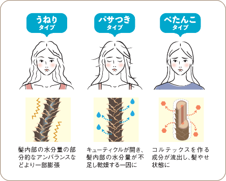 うねり、パサつき、ぺたんこの髪悩みのある女性と毛髪構造