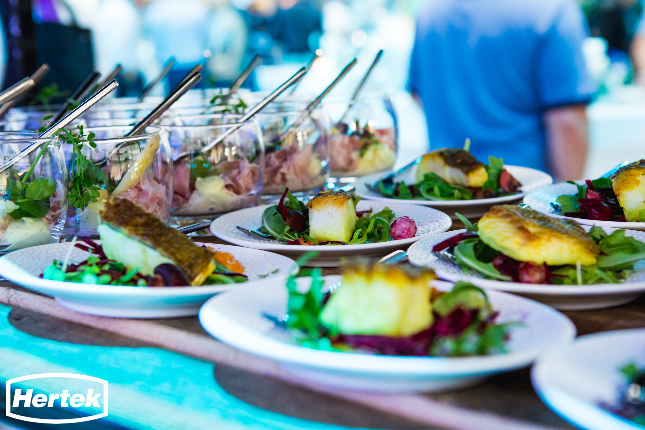 25-jarig jubileumfeest Hertek - 079