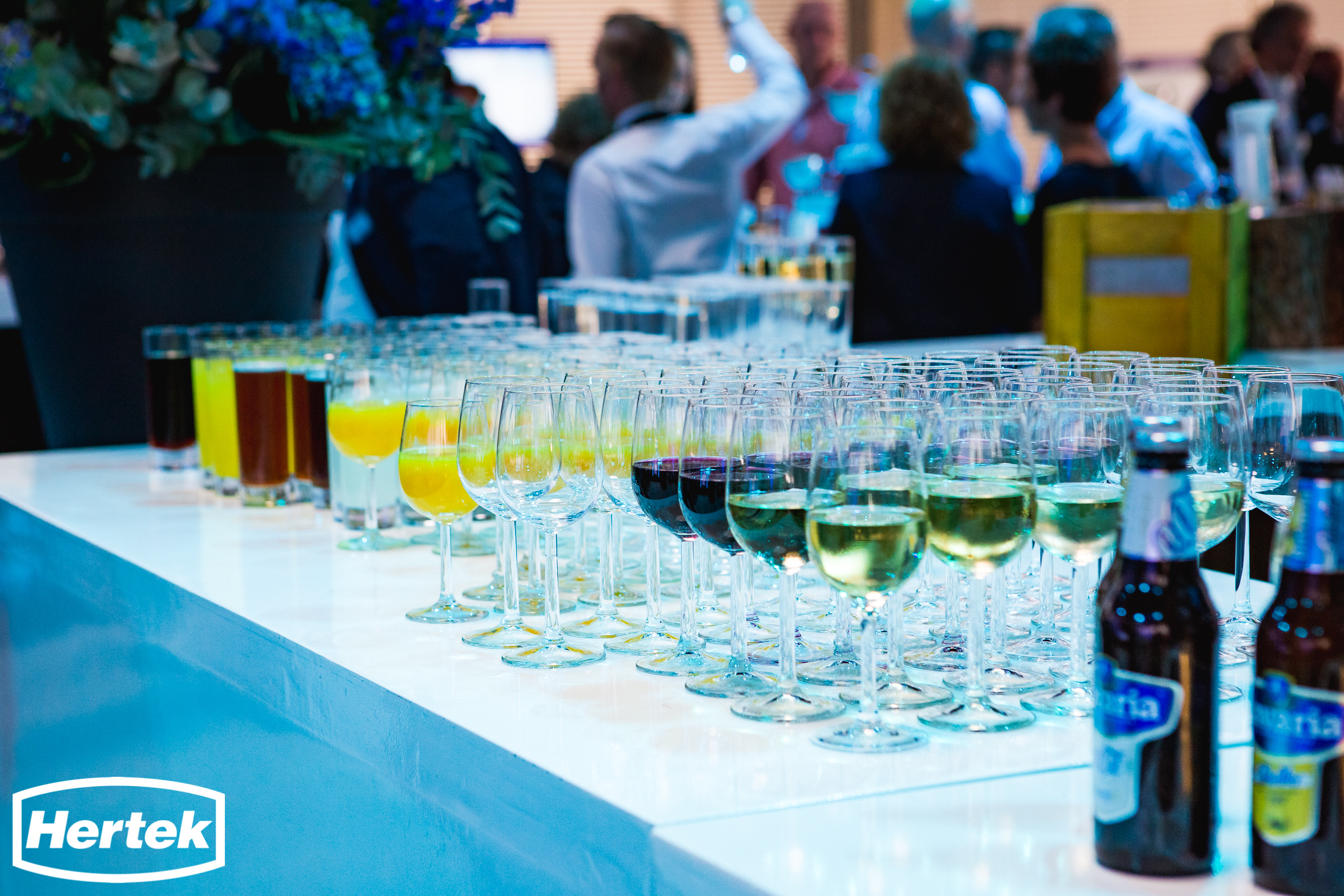 25-jarig jubileumfeest Hertek - 081