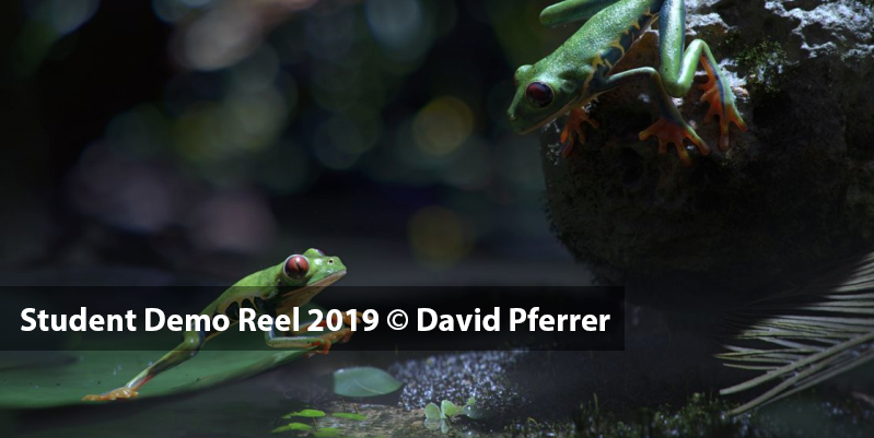 Student Demo Reel 2019 - David Pferrer