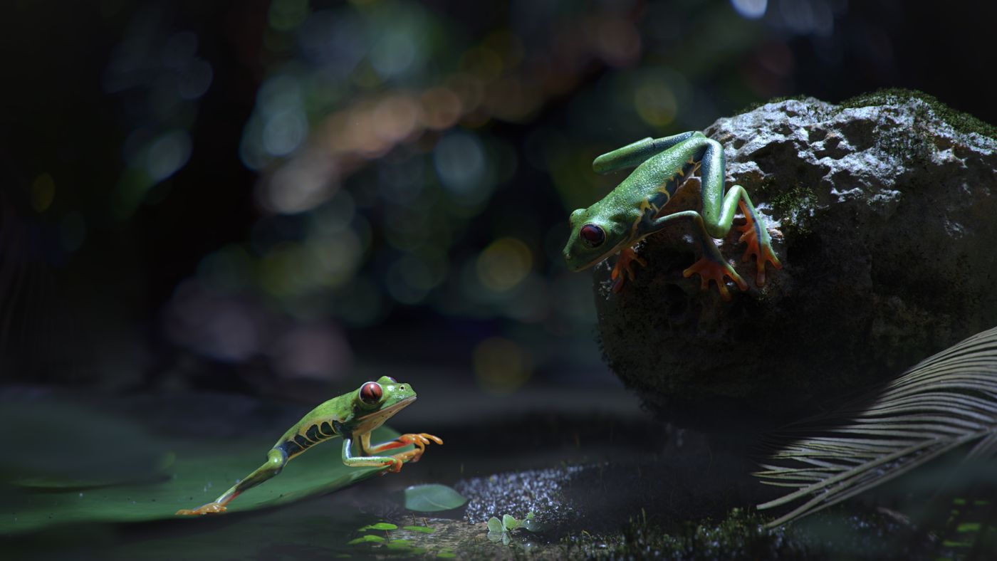 Froggy © David Pferrer-1