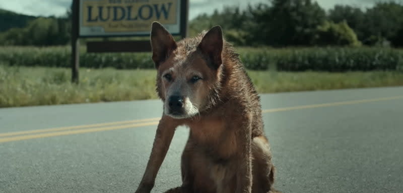 Paramount+ Drops Official Trailer for 'Pet Sematary: Bloodlines'