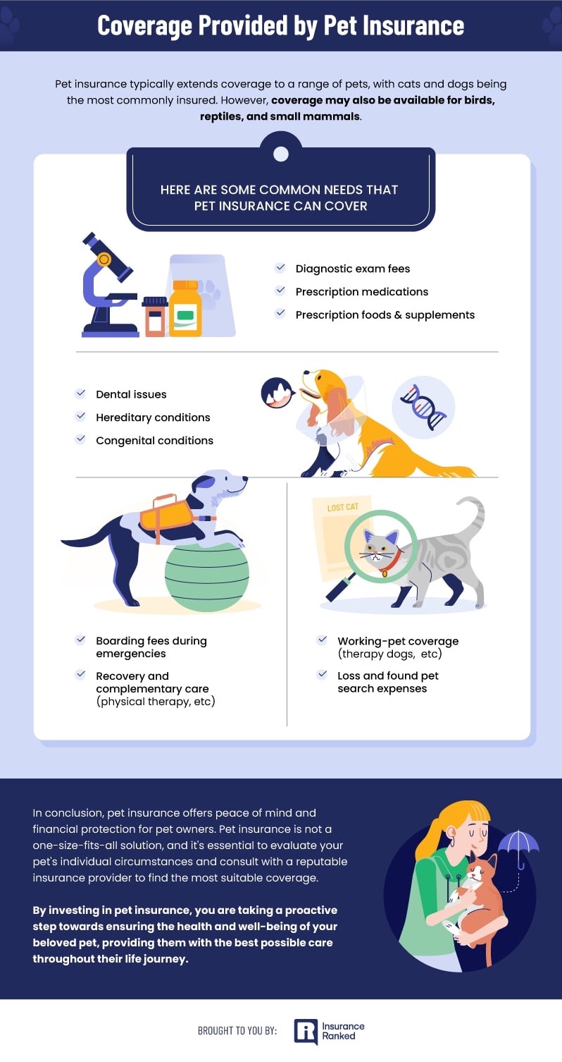 pet-insurance-9
