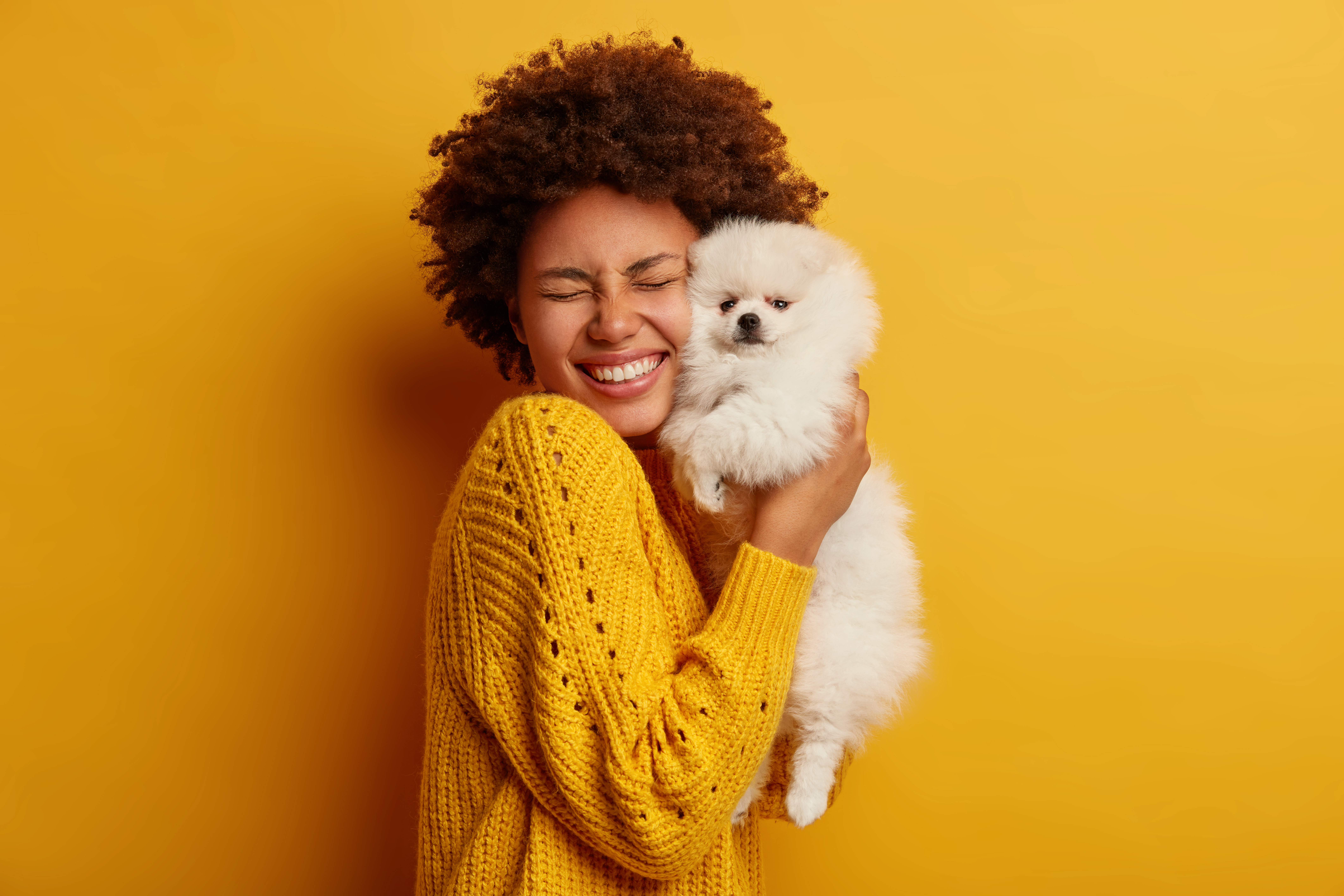 How Often Should I Take My Dog To The Vet?