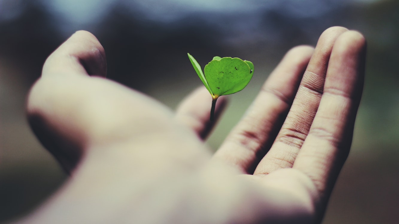 plant-hand
