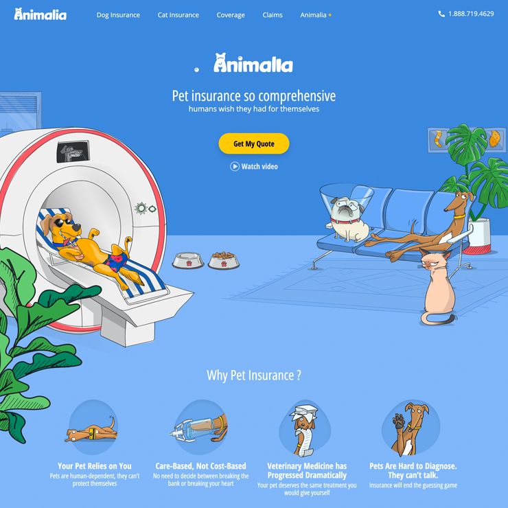 Animalia screen shot