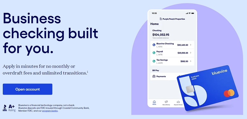 Bluevine Business Checking homepage