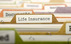 Best Term Life Insurance Companies In America | InsuranceRanked