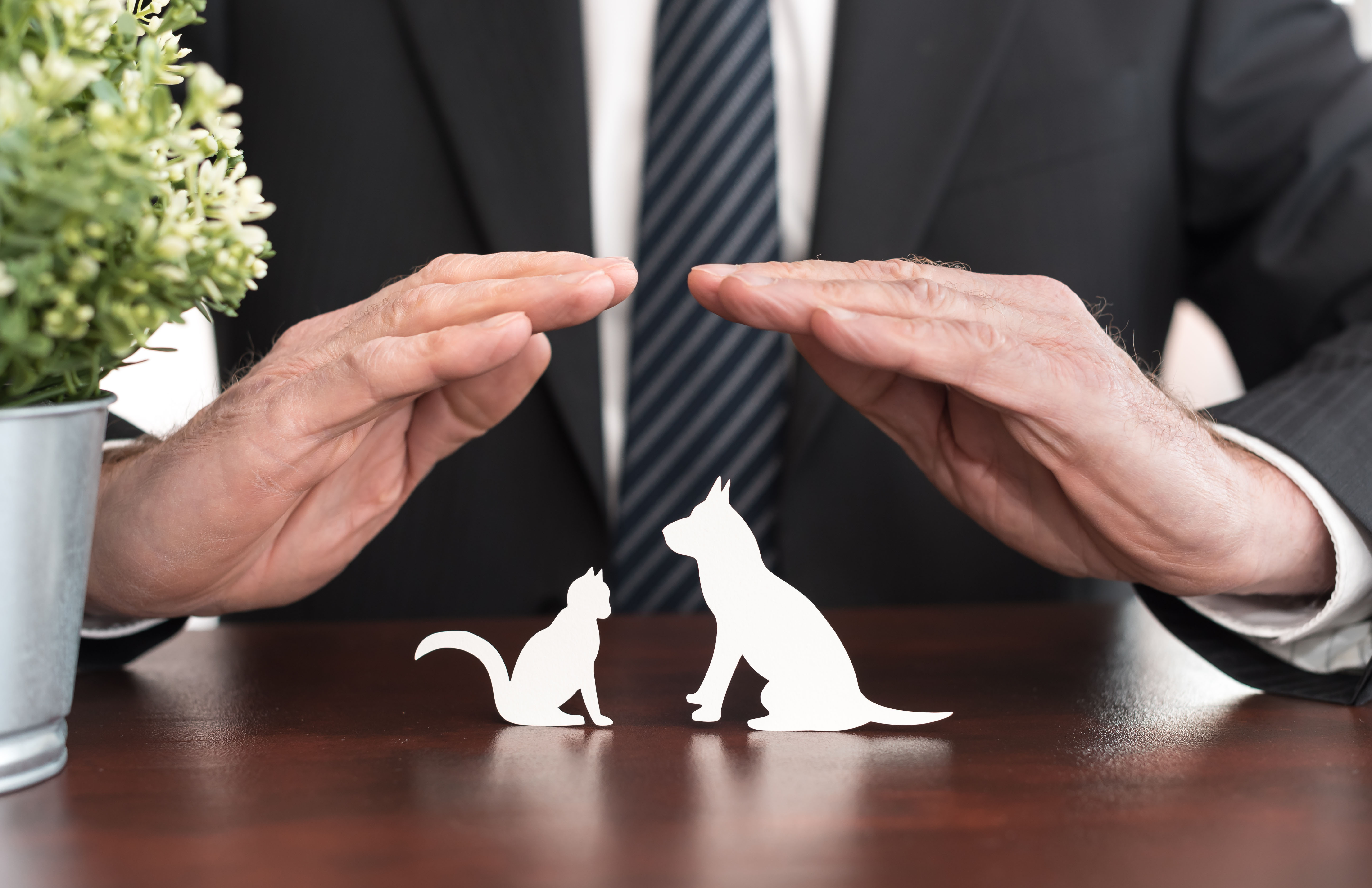 hands-cutout-cat-dog