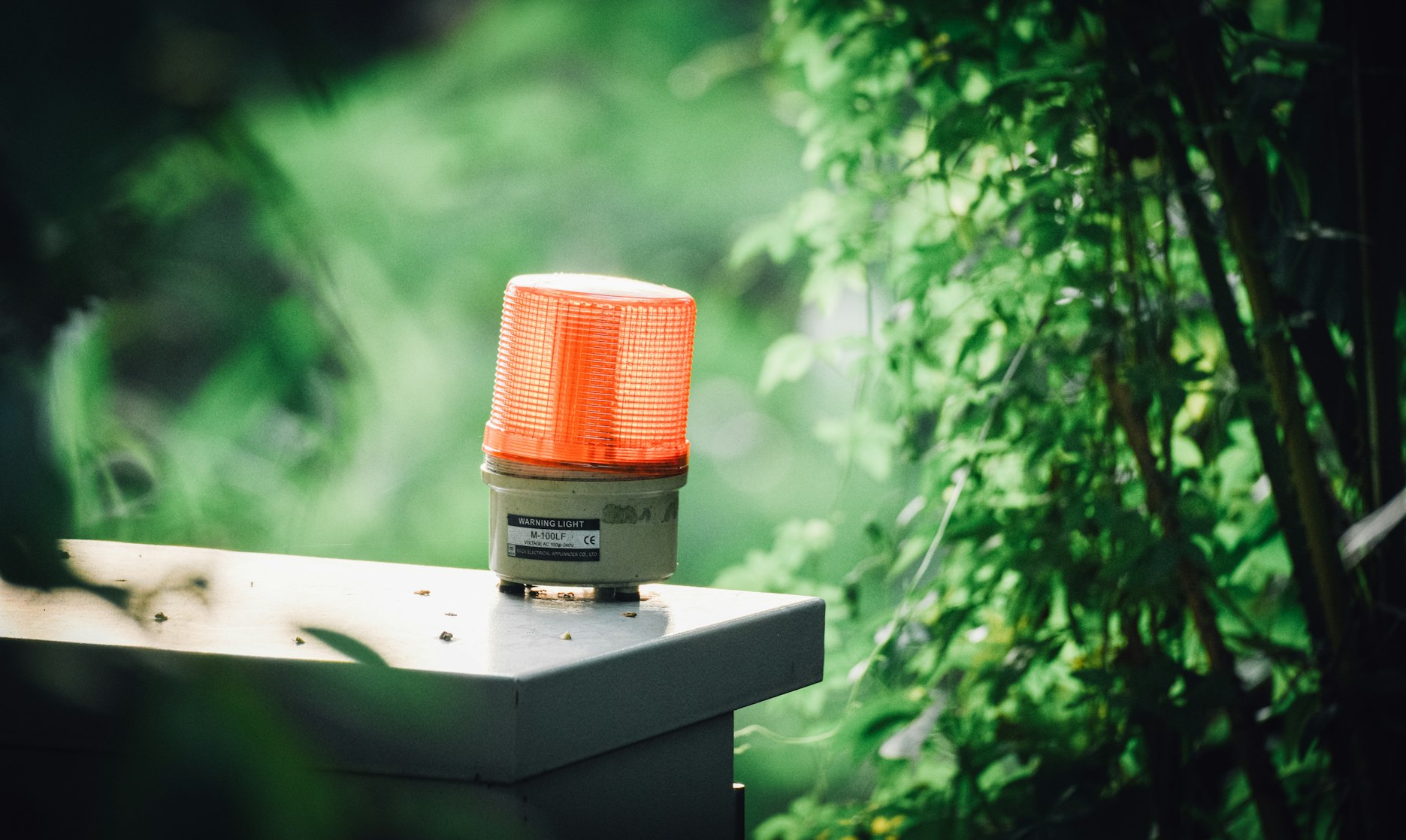emergency-light