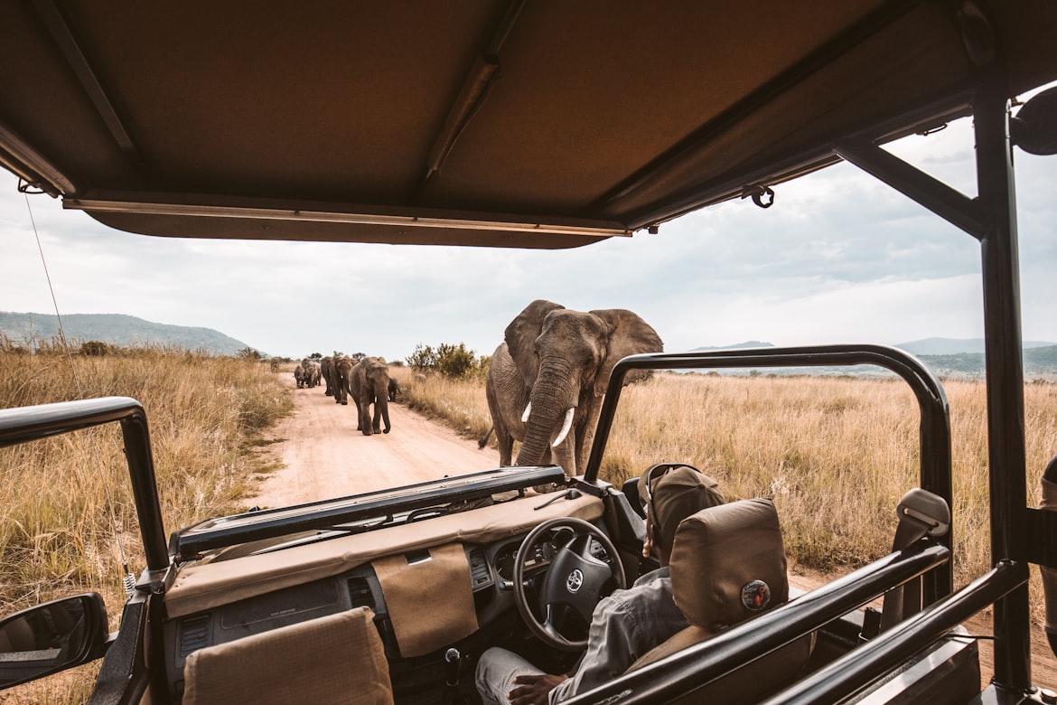 Safari and Jungle Trek Insurance: Coverage for Wild Animal Encounters, Venomous Bites, or Emergency Air Evacuation