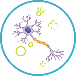 5-amino-1mq what is 5-amino-1mq Neurobion Forte: Dosage & Side Effects main image 1