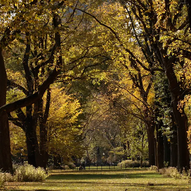 Unrivaled Group Fitness classes. Unparalleled Personal Training. Studios that inspire you to perform and luxury amenities that keep you feeling your best.