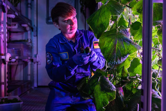 It’s Not Fitness. It’s Life. Unrivaled Group Fitness classes. Unparalleled Personal Training. Studios that inspire you to perform and luxury amenities that keep you feeling your best.