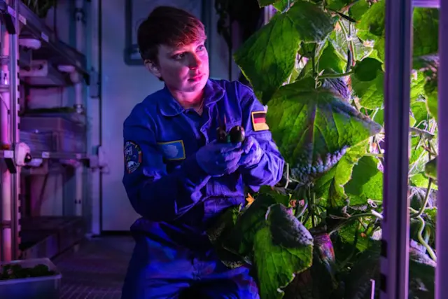 It’s Not Fitness. It’s Life. Unrivaled Group Fitness classes. Unparalleled Personal Training. Studios that inspire you to perform and luxury amenities that keep you feeling your best.